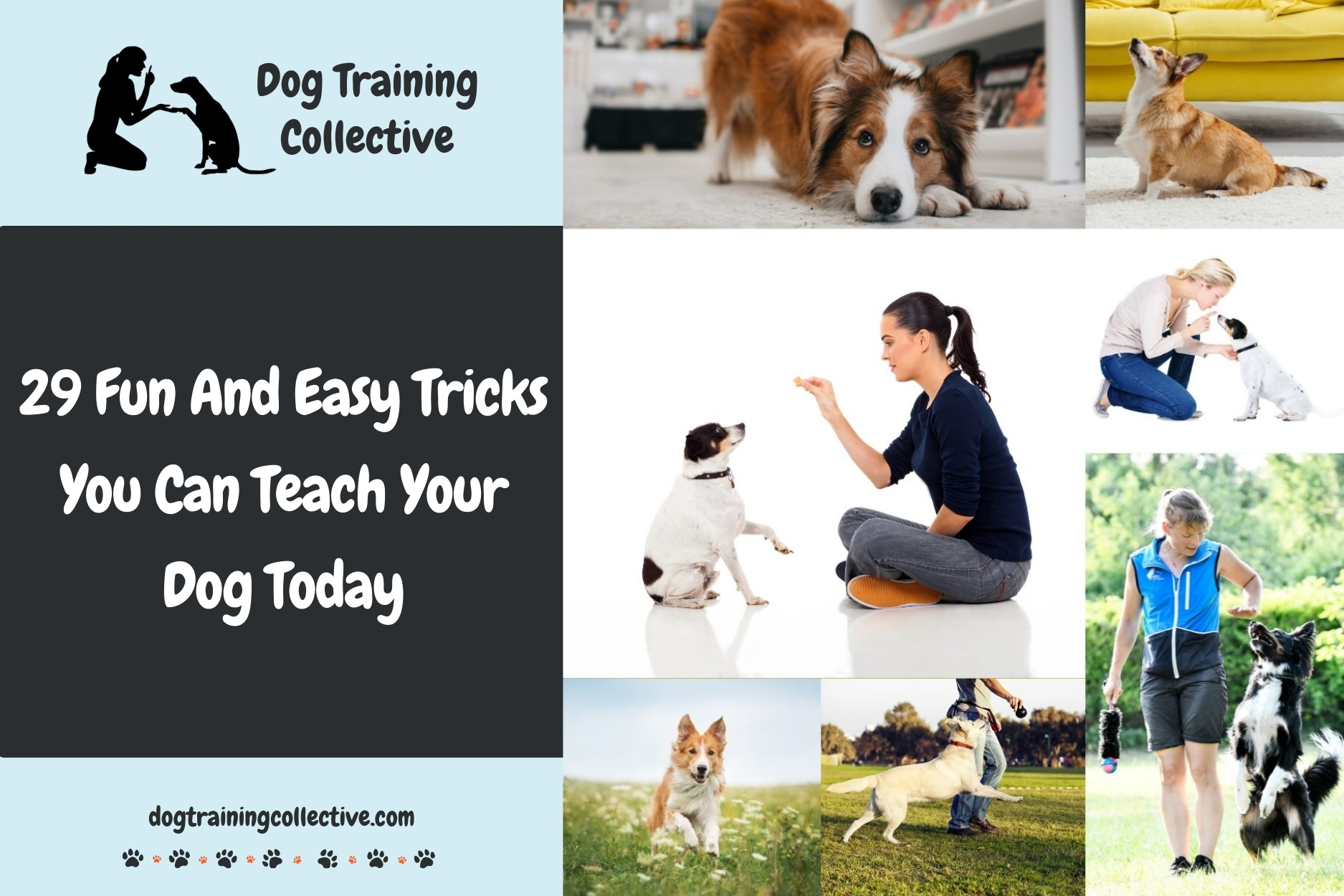 29 Fun And Easy Tricks You Can Teach Your Dog Today