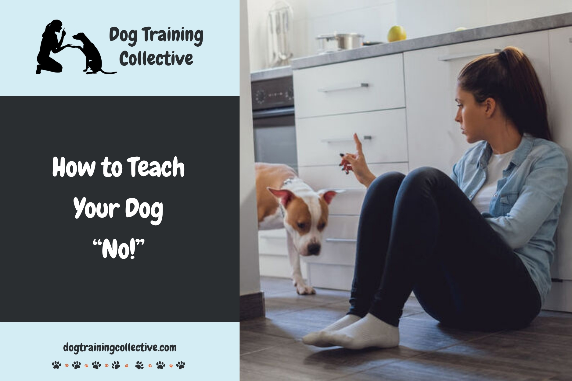 How to Teach Your Dog “No!”