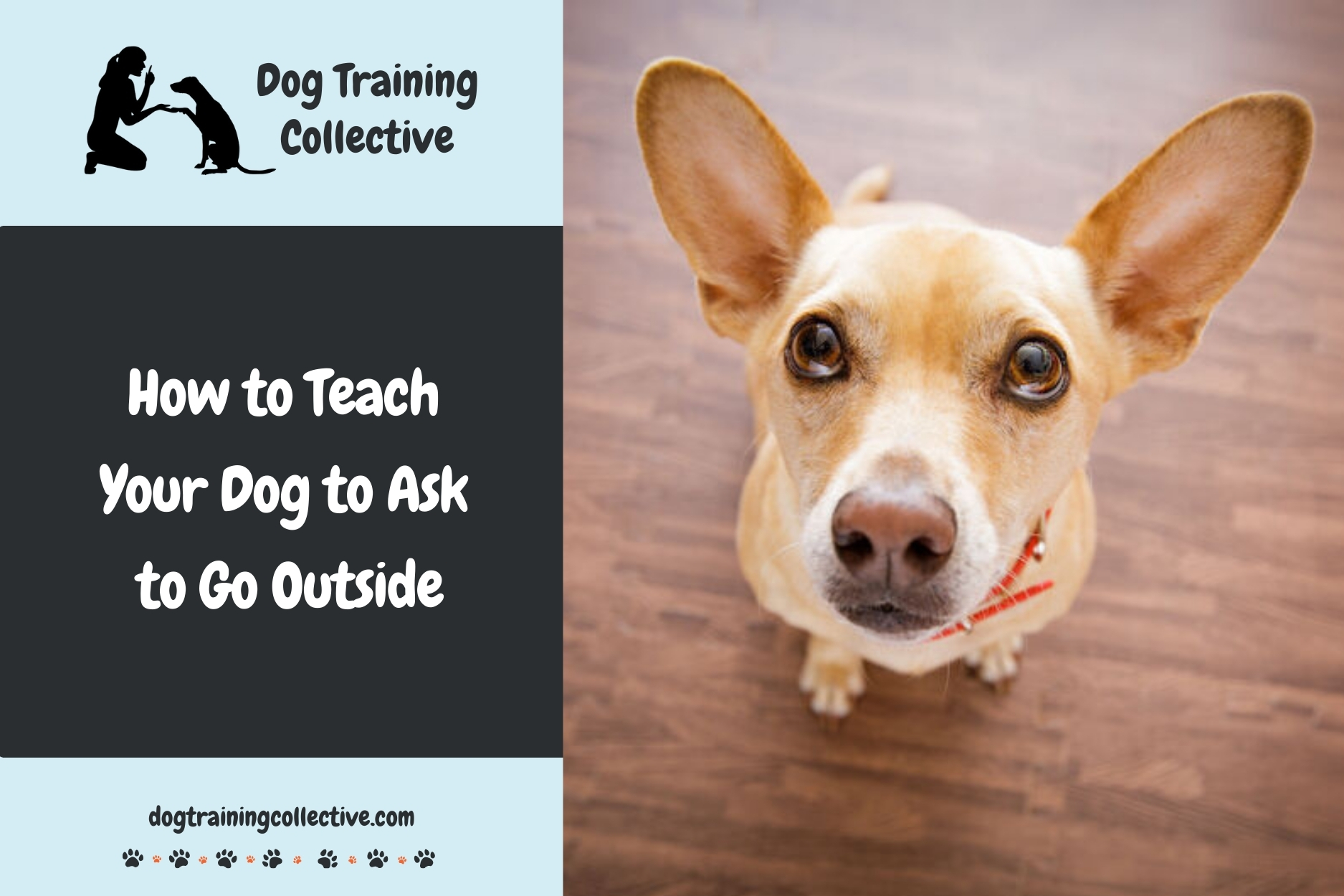 How to Teach Your Dog to Ask to Go Outside