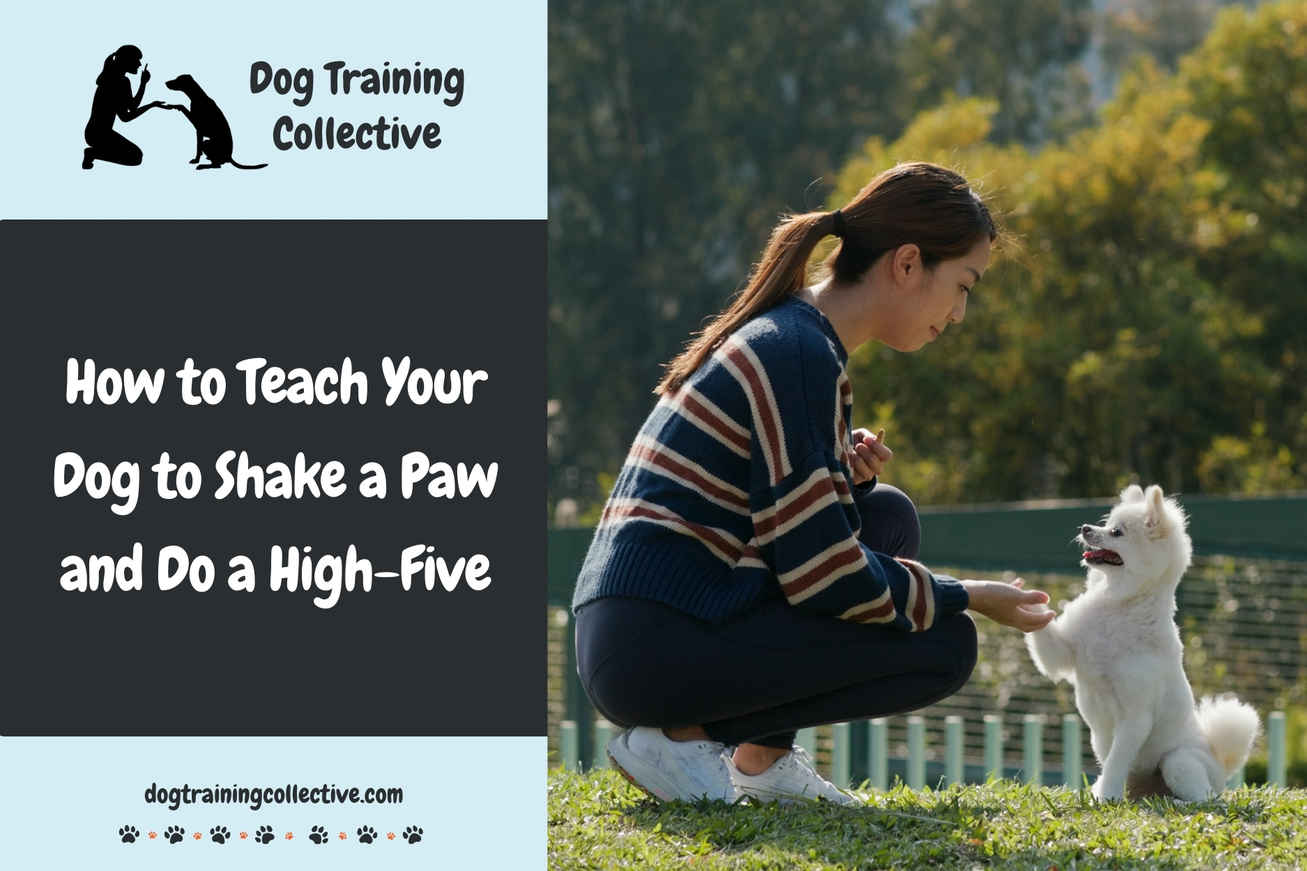 How to Teach Your Dog to Shake a Paw and Do a High-Five