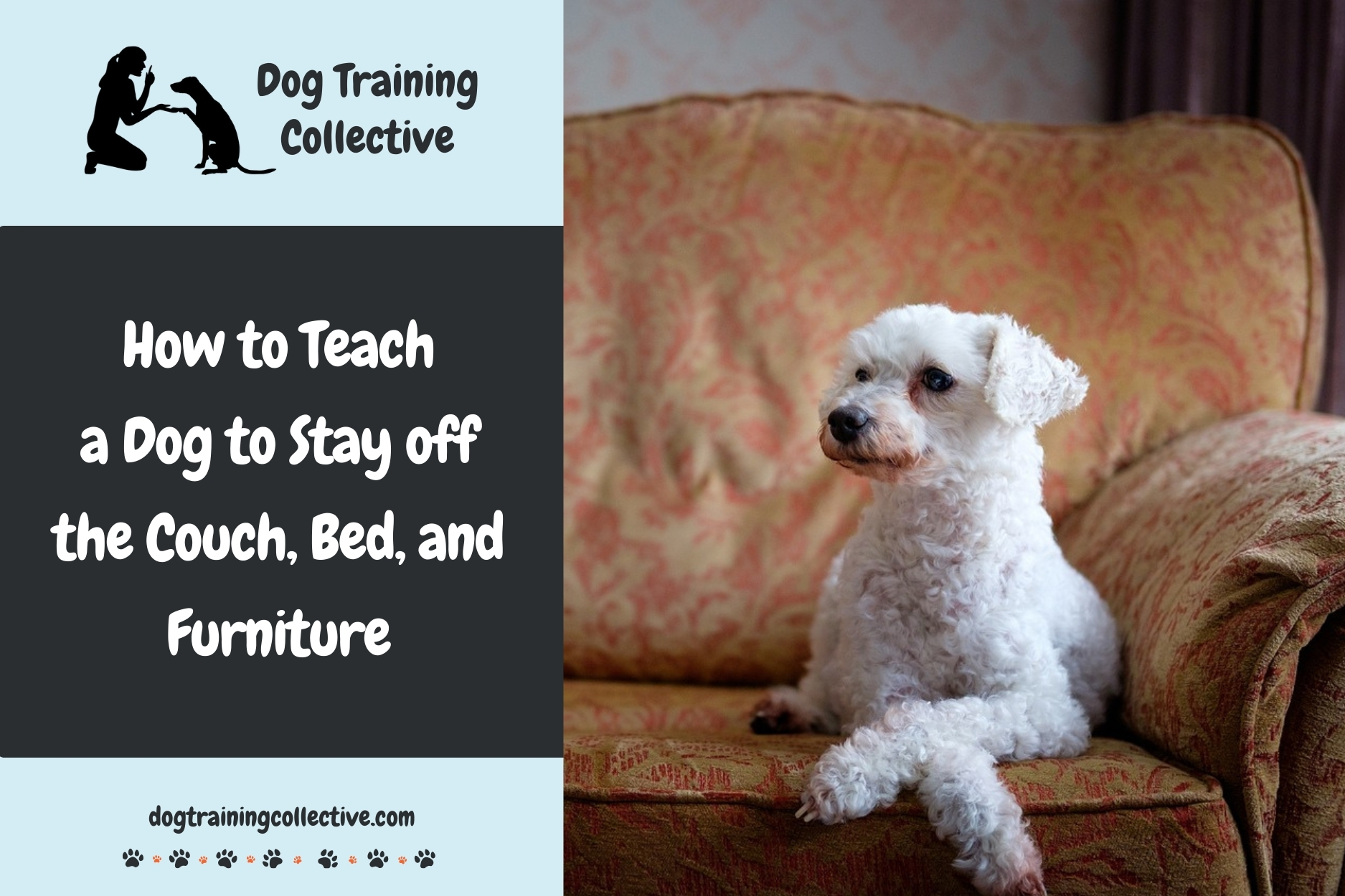 How to Teach a Dog to Stay off the Couch, Bed, and Furniture