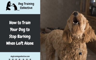 How to Train Your Dog to Stop Barking When Left Alone