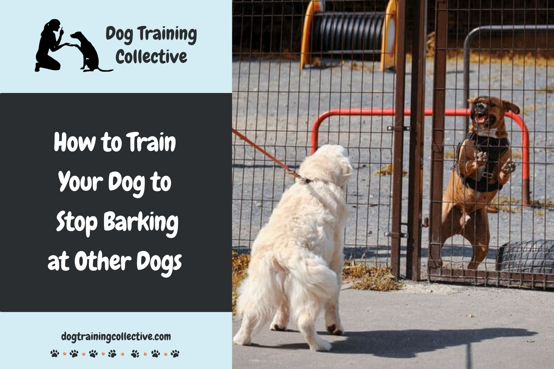 How to Train Your Dog to Stop Barking at Other Dogs